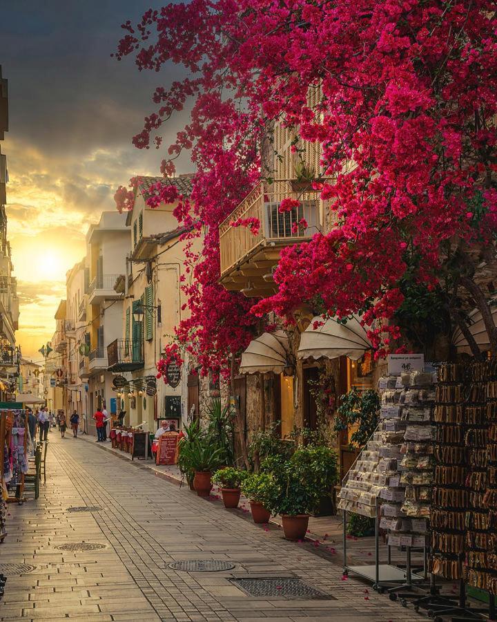 Μυκηνεσ Διαμέρισμα Άργος Εξωτερικό φωτογραφία